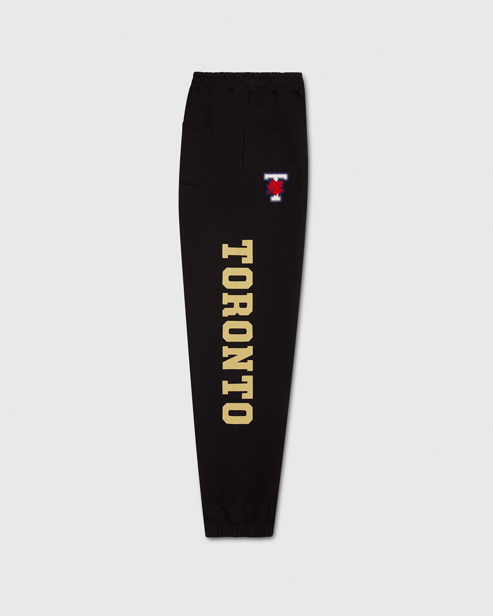 U Of T Athletics Sweatpant - Black IMAGE #5